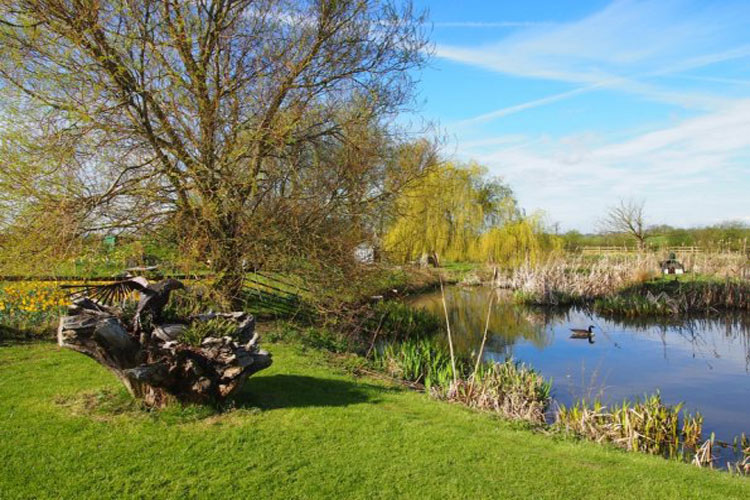Thistledown Bed & Breakfast - Image 2 - UK Tourism Online
