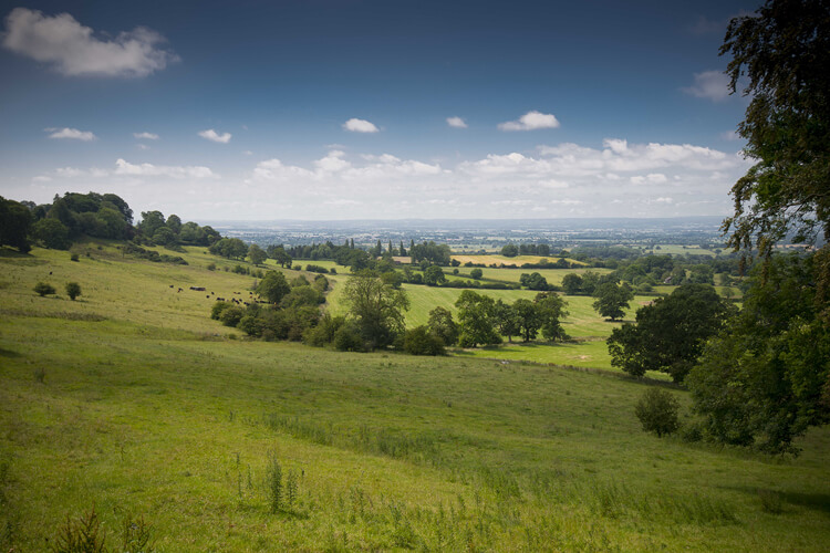 West Acre Lodge - Image 3 - UK Tourism Online