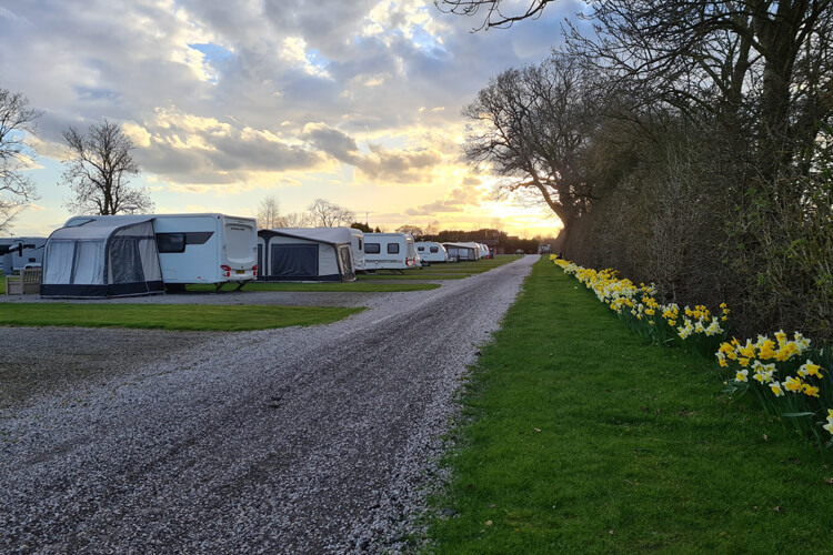 Willow Caravan Park (Adults Only) - Image 2 - UK Tourism Online