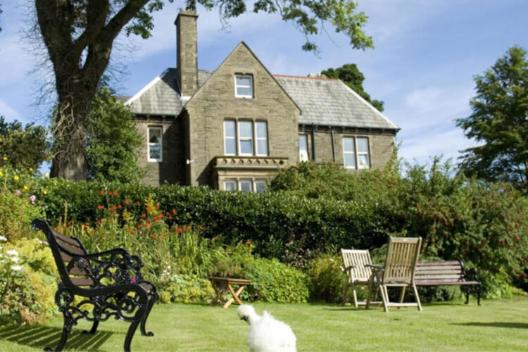 Ashmount Guest House - Image 1 - UK Tourism Online