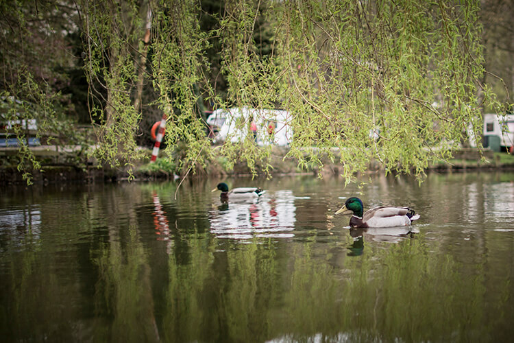 Holme Valley Camping and Caravan Park - Image 2 - UK Tourism Online